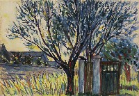 藏品(樹)的圖片