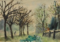 藏品(樹)的圖片