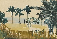 藏品(籃球場)的圖片