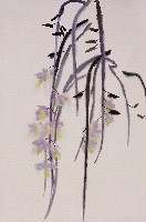 藏品(蘭花)的圖片