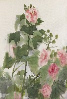 藏品(芙蓉)的圖片