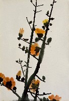 藏品(木棉花)的圖片