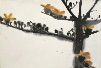 藏品(木棉花)的圖片
