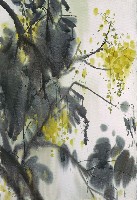 藏品(黃花)的圖片