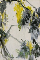 藏品(紅果樹)的圖片