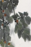 藏品(黃花)的圖片