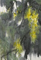 藏品(黃花)的圖片