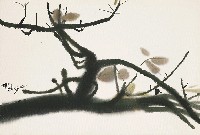 藏品(木棉花(冬天的樹枝))的圖片