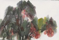 藏品(海棠花)的圖片