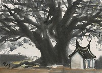 藏品(樹)的圖片