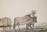 藏品(牛車)的圖片