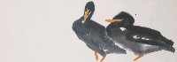 藏品(雙鴨)的圖片