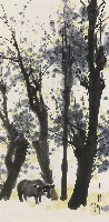 藏品(牛樹)的圖片