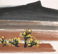 藏品(黃樹)的圖片