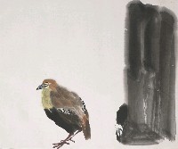 藏品(山雞)的圖片