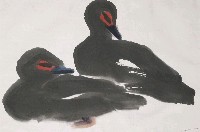 藏品(鴨)的圖片