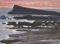 藏品(海濱)的圖片