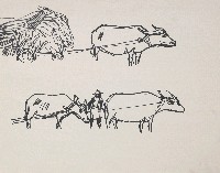 藏品(拖蔗車)的圖片