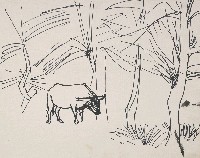 藏品(牛)的圖片