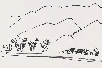 藏品(景)的圖片