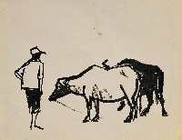 藏品(農夫)的圖片