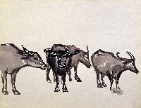 藏品(牛)的圖片