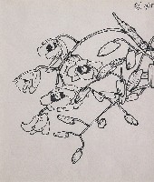 藏品(蘭花)的圖片