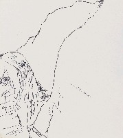 藏品(山)的圖片