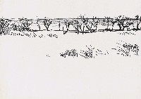 藏品(風景)的圖片