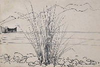 藏品(河邊)的圖片