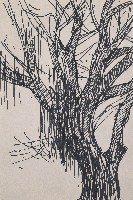 藏品(樹)的圖片