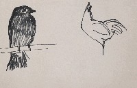 藏品(雙鳥)的圖片