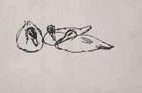 藏品(鴨)的圖片