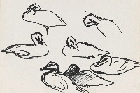 藏品(鴨(七隻))的圖片