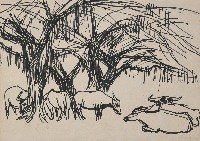 藏品(牛)的圖片