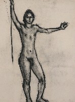 藏品(人體)的圖片