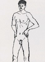 藏品(人體裸男)的圖片