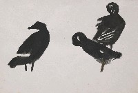 藏品(鴨)的圖片