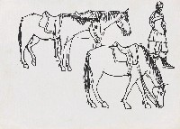 藏品(馬)的圖片