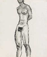 藏品(人體)的圖片