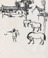 藏品(農村)的圖片