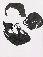 藏品(貓)的圖片