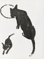 藏品(貓/風景)的圖片