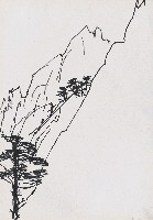 藏品(山)的圖片