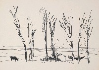 藏品(風景)的圖片