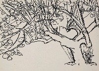 藏品(樹)的圖片