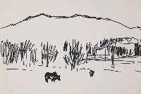 藏品(風景)的圖片