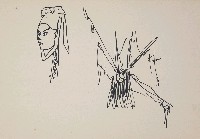 藏品(人)的圖片