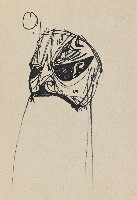 藏品(國劇臉譜)的圖片