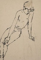 藏品(人體)的圖片